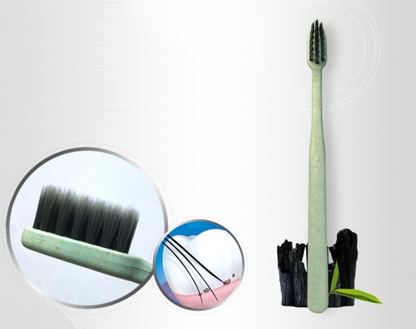 brosse a dents 1